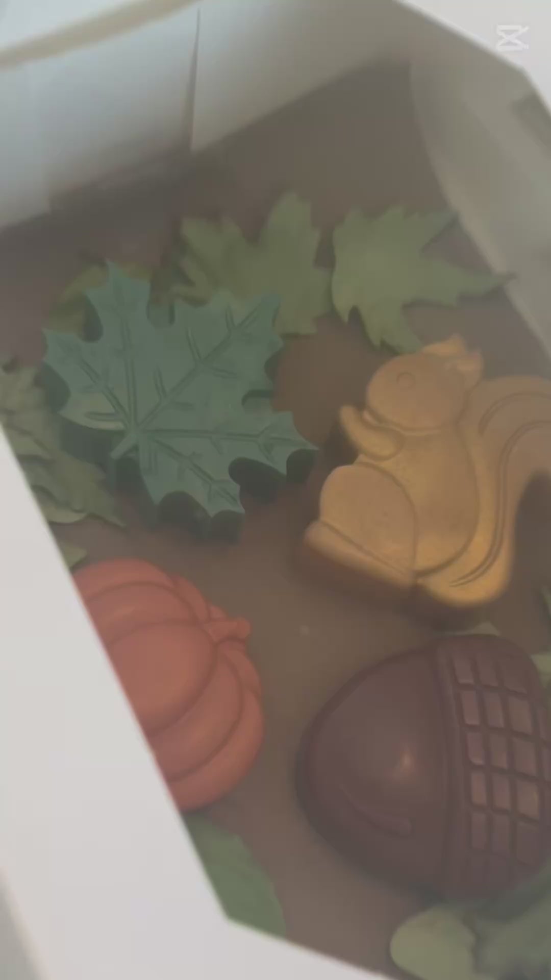 Fall Collection Bar Soap – Pumpkin Oatmeal Shea, Vegan Thanksgiving Gift