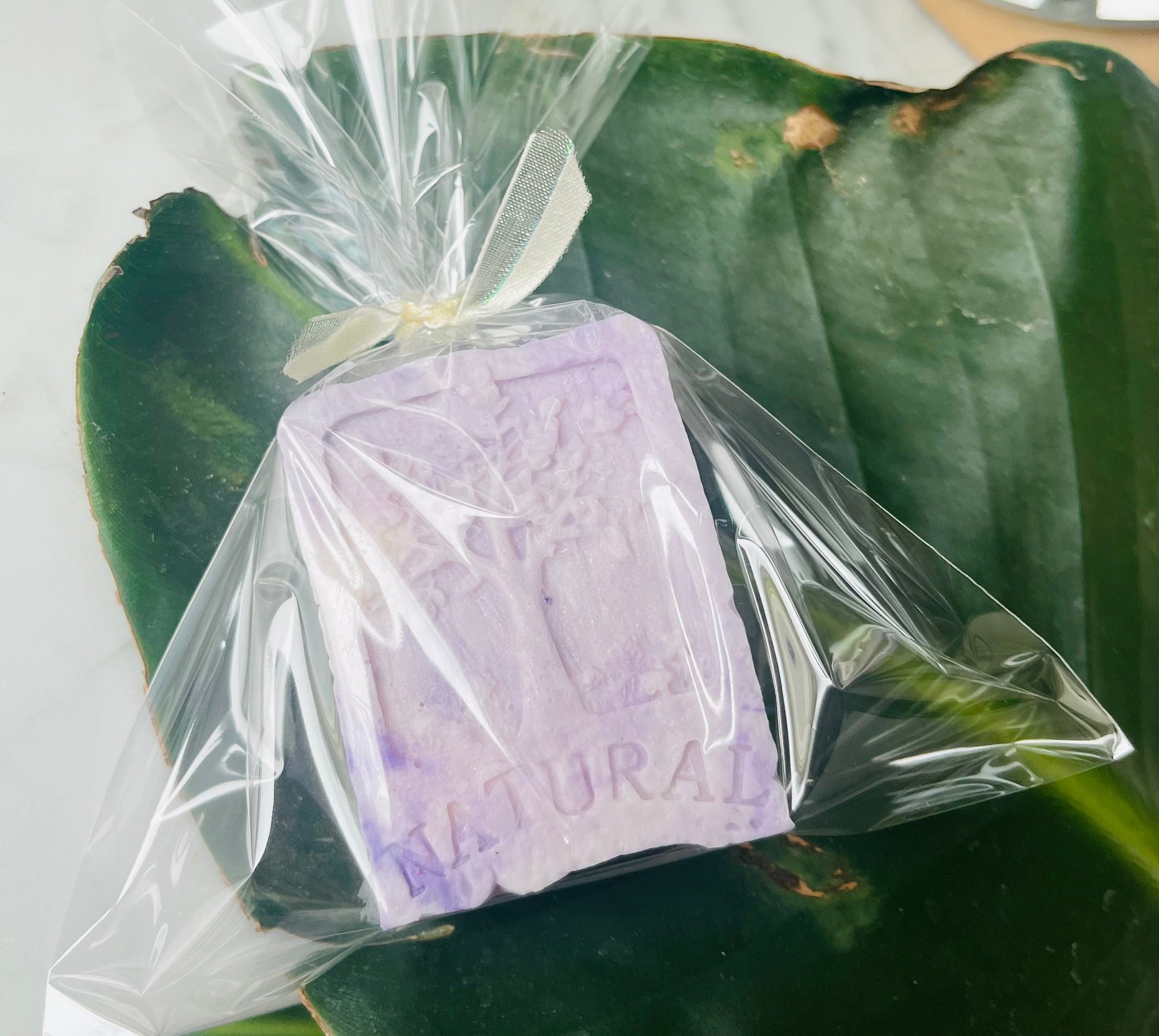 Natural Tree of Life Oatmeal Shea Soap | Hand & Body Bar White Out