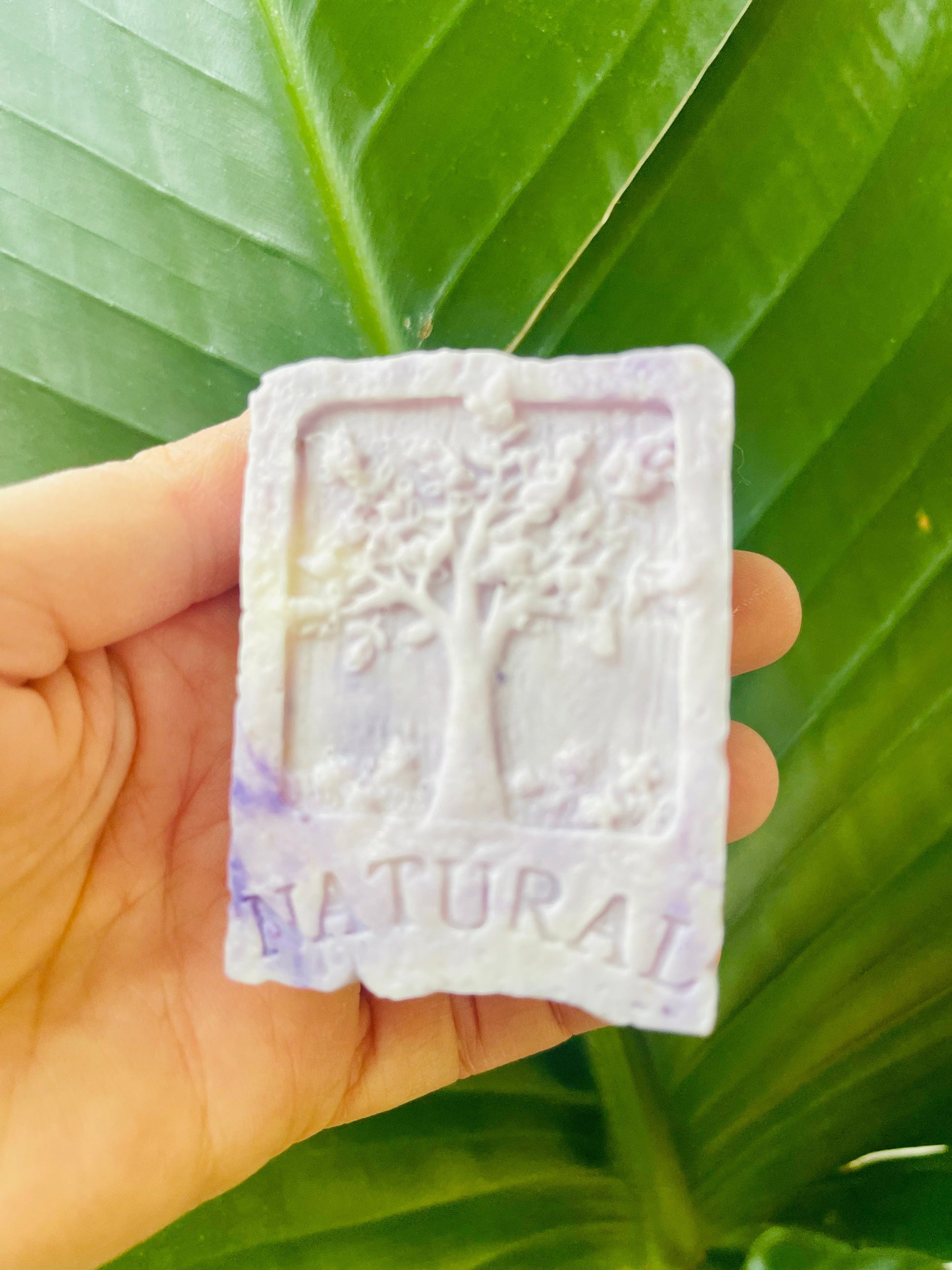 Natural Tree of Life Oatmeal Shea Soap | Hand & Body Bar White Out