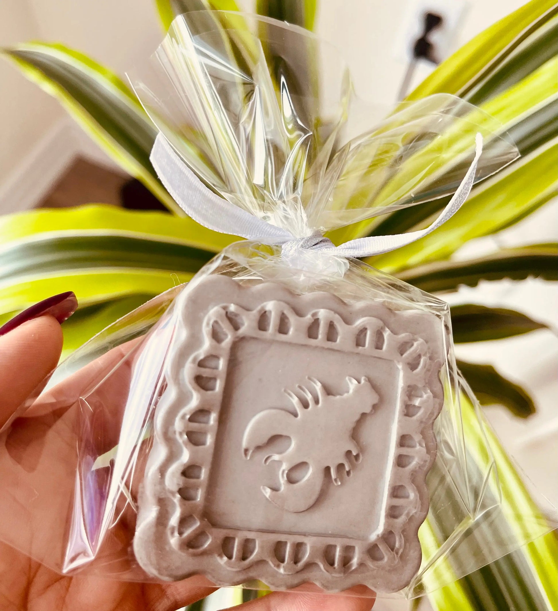 Zodiac Oatmeal Shea Soap | Custom Hand & Body Bar with Natural Exfoliation White Out