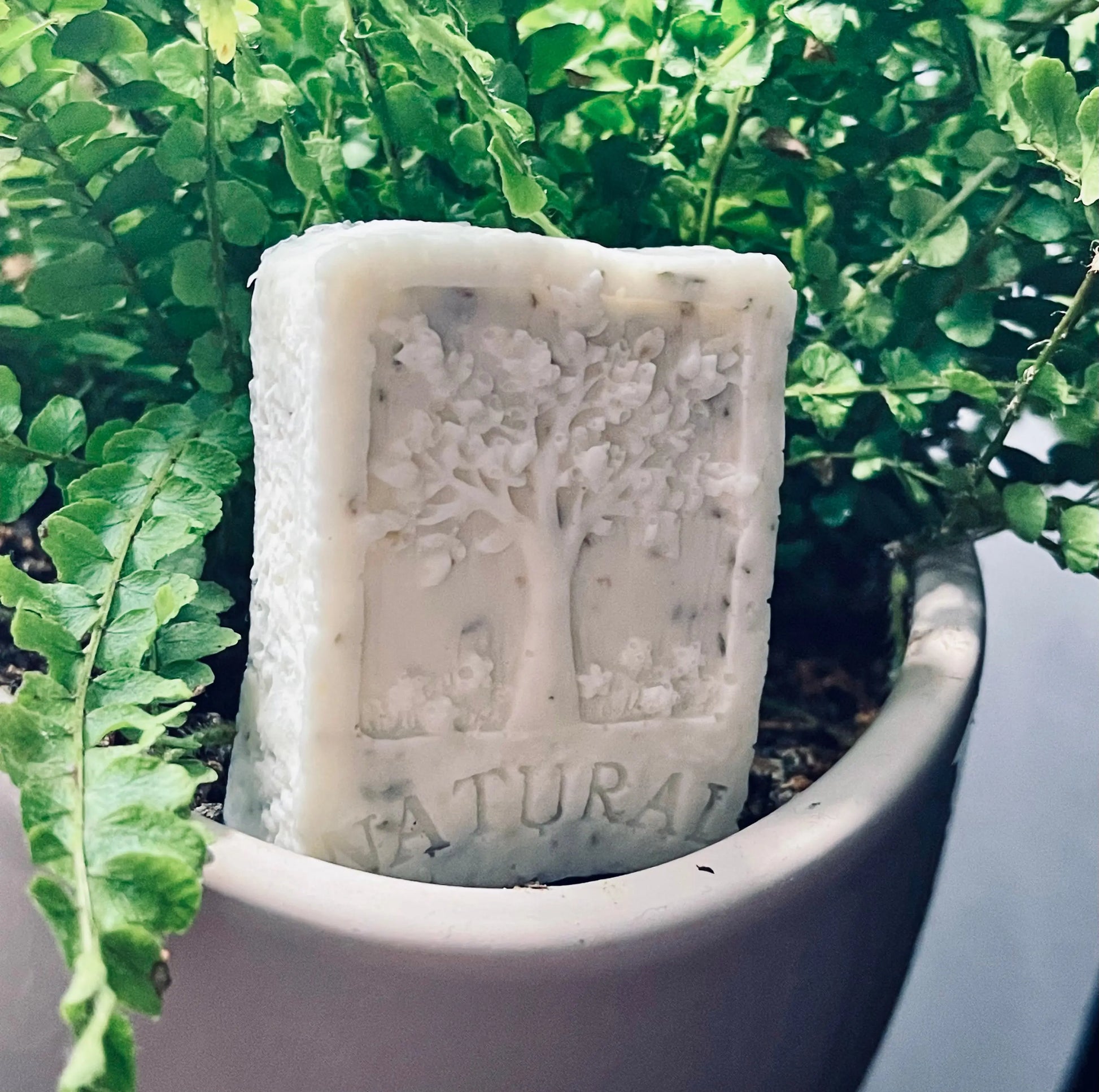 Natural Tree of Life Oatmeal Shea Soap | Hand & Body Bar White Out