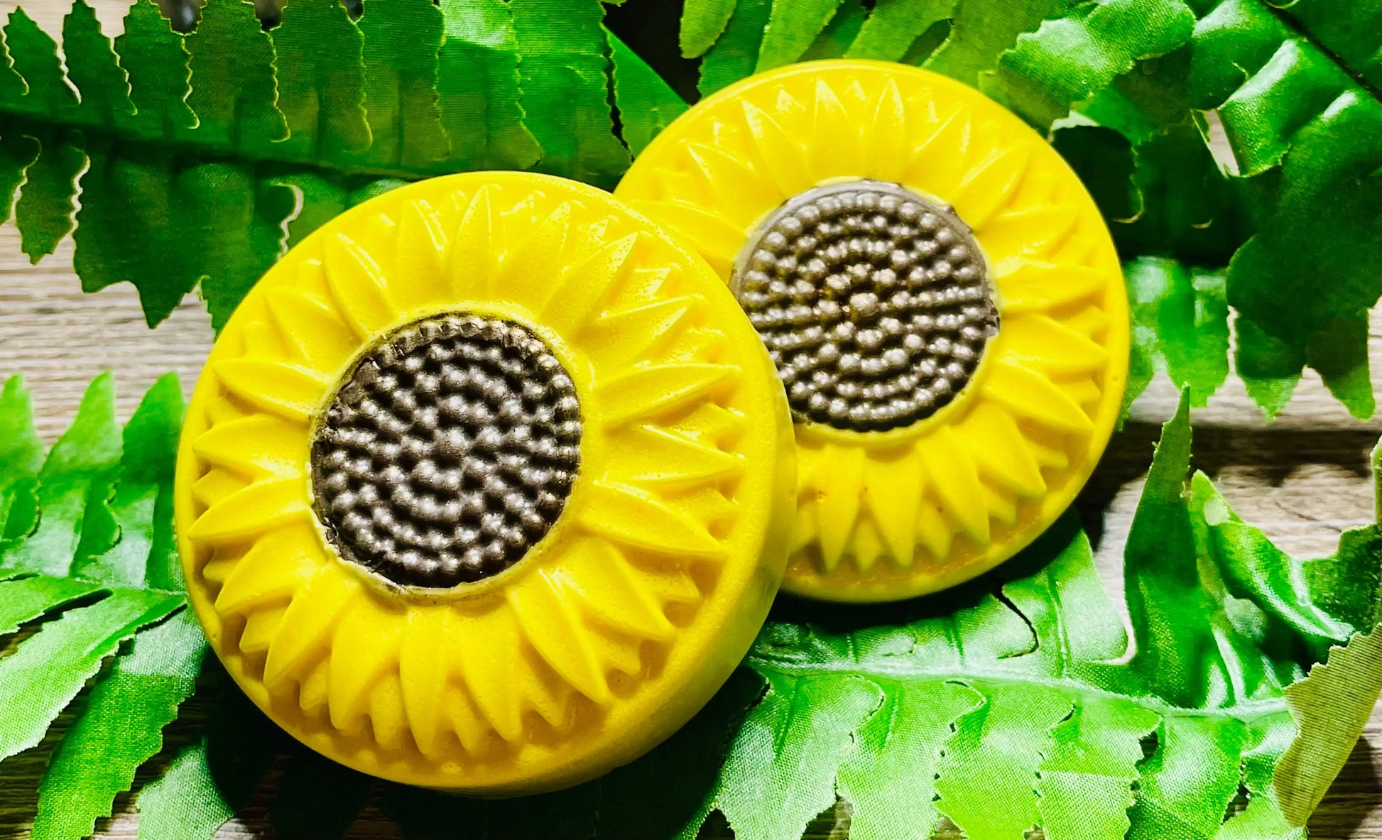 Natural Sunflower Oatmeal Shea Soap | Hand & Body Bar White Out