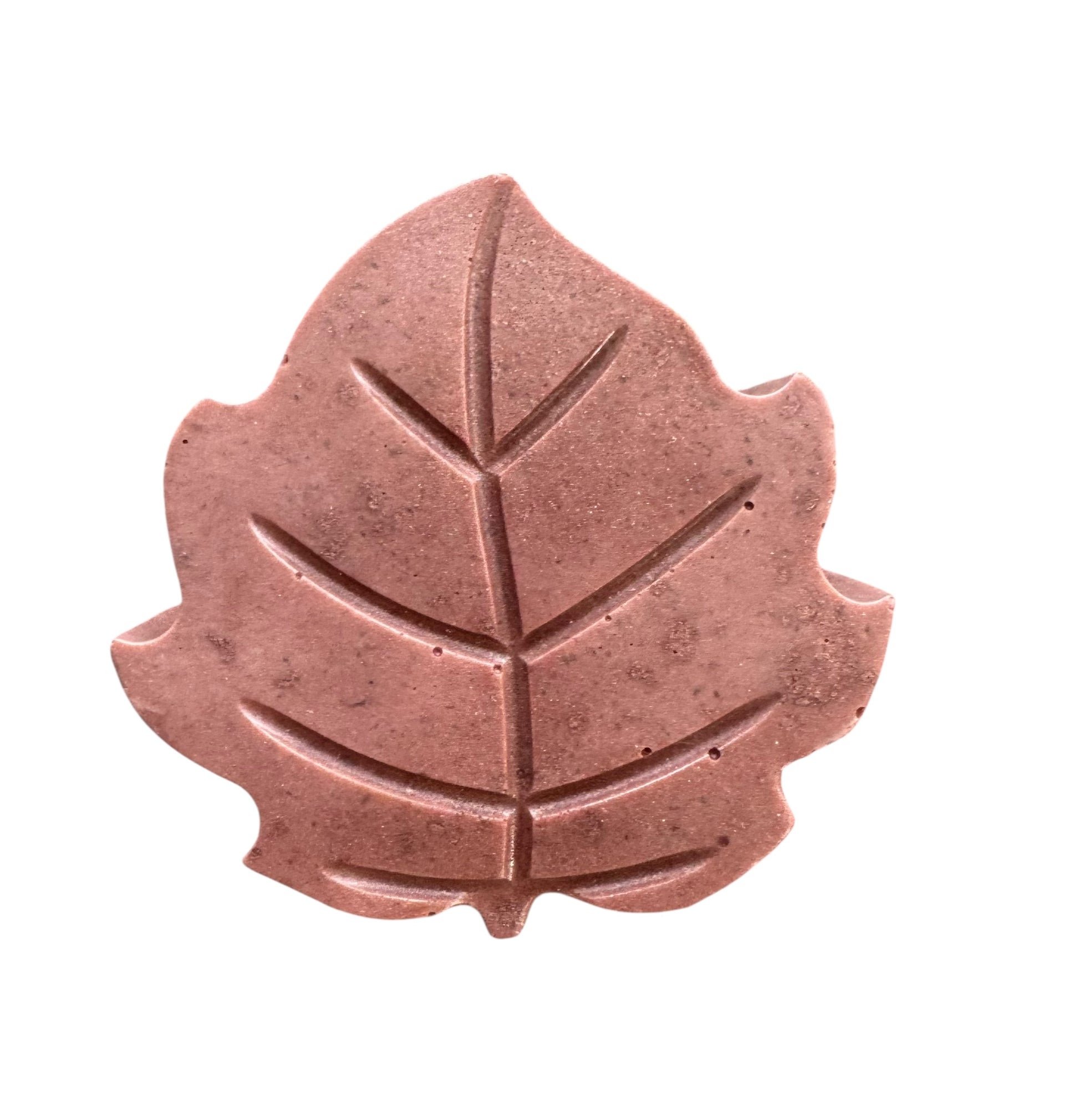 Copper-colored leaf-shaped object on a white background