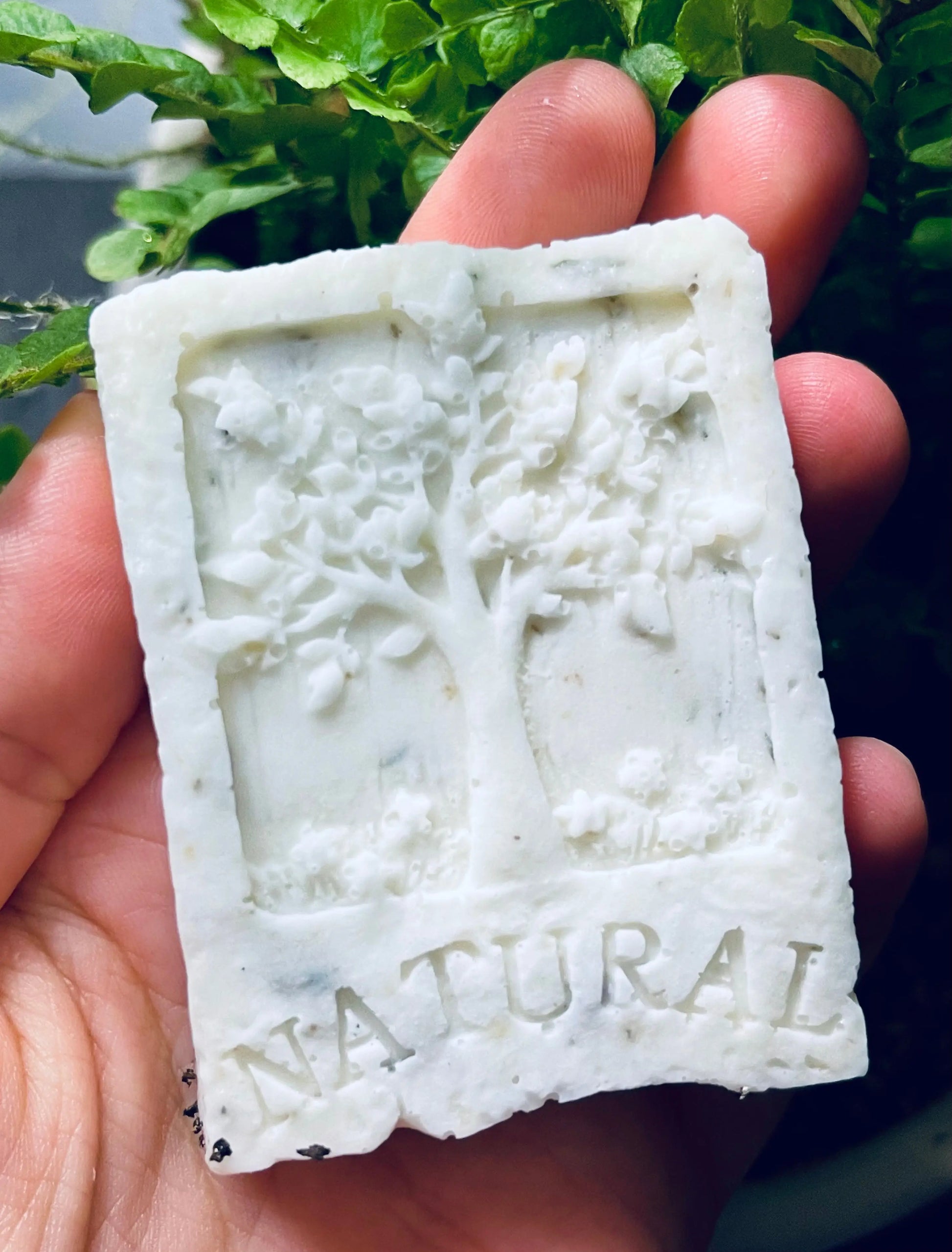 Natural Tree of Life Oatmeal Shea Soap | Hand & Body Bar White Out