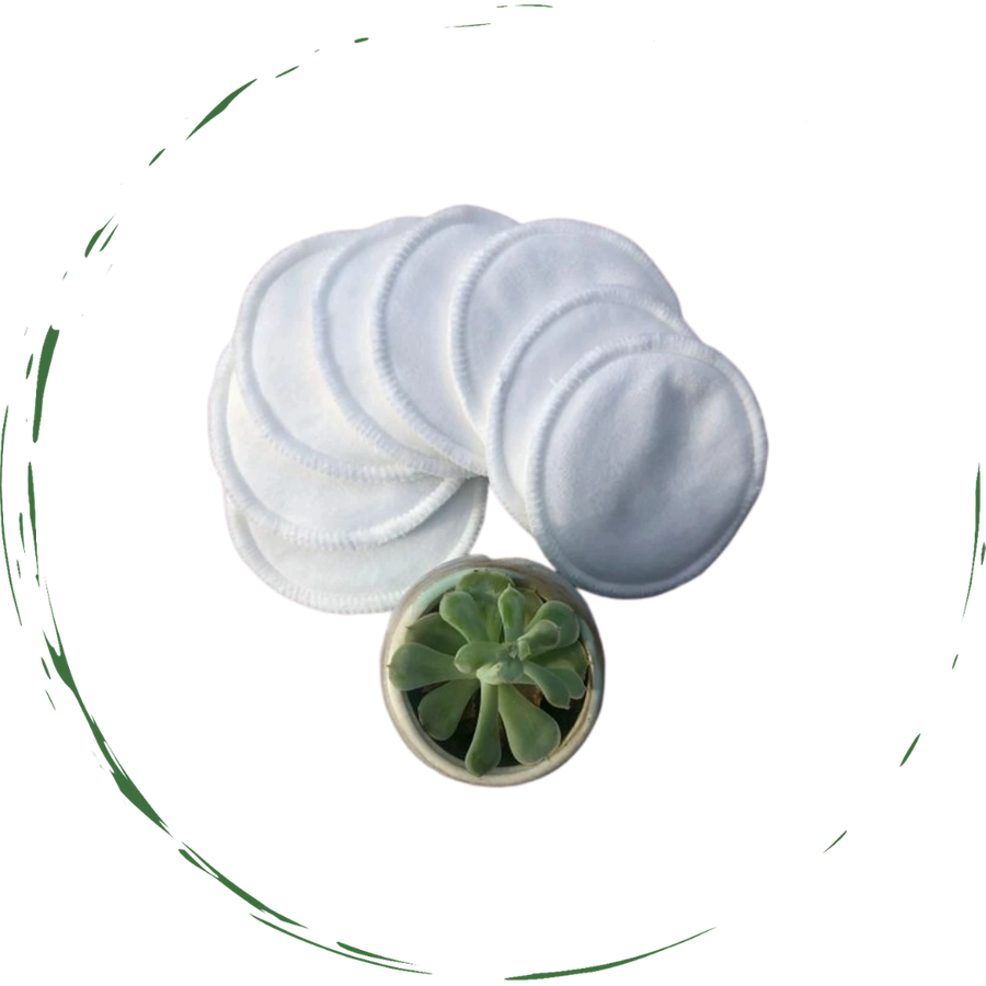 Set of white silicone molds with a small green succulent plant inside one mold on a white background.